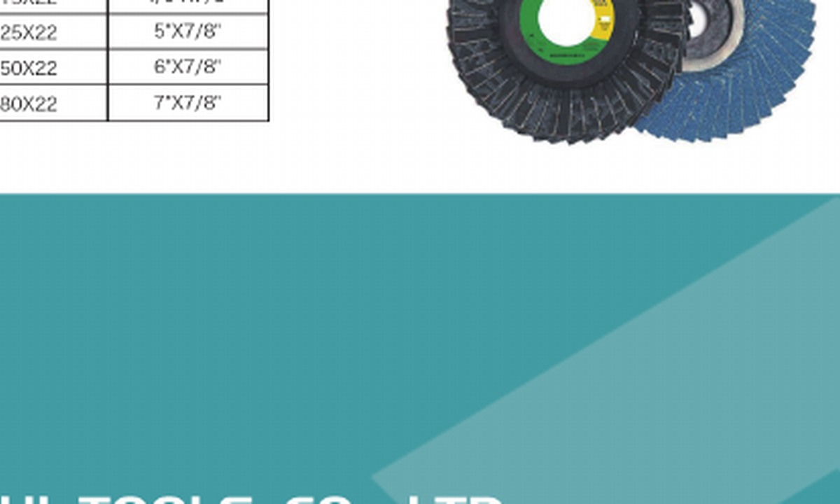 Dish Shape Flap Disc
